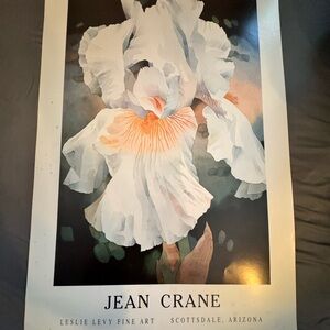 Floral Art Print - White and Orange